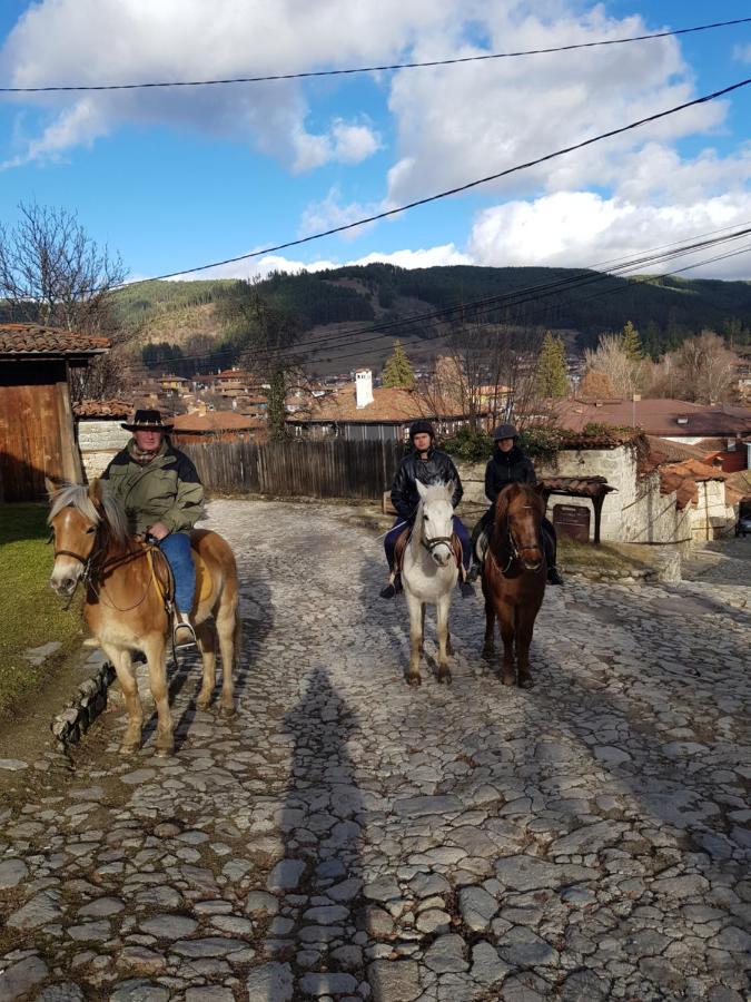 Dona Guest House - Horse Riding Koprivshtitsa Exterior photo